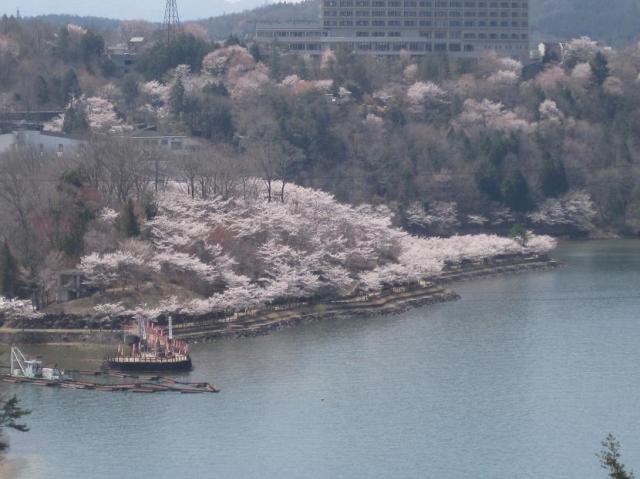 県立自然公園恵那峡へのリトルミントさんのレビュー写真