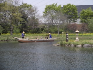 河川環境楽園 オアシスパークのレポート写真1（まっき～な☆）
