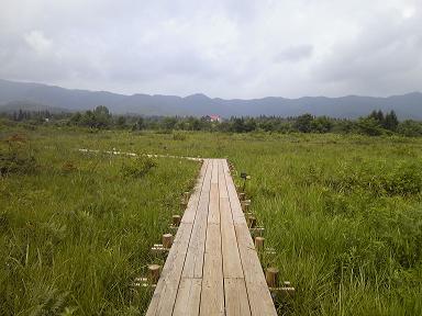 ひるがの湿原植物園へのゆかそさんのレビュー写真
