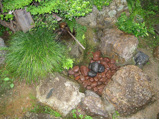 旧今井家住宅・美濃史料館へのayu☆さんのレビュー写真