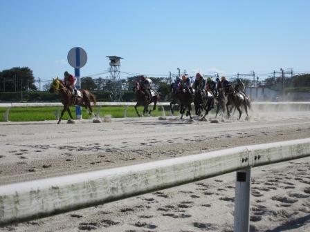 岐阜県地方競馬組合への池中玄太84キロさんのレビュー写真