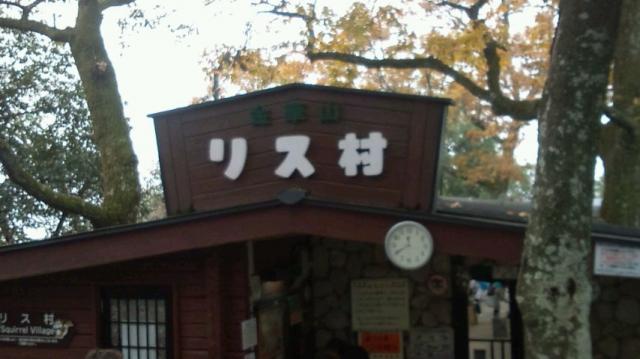金華山リス村へのめぐっぺ☆さんのレビュー写真