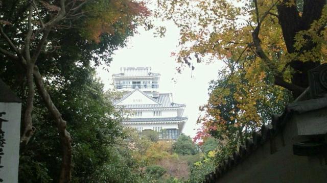 岐阜城へのめぐっぺ☆さんのレビュー写真