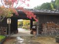 神明温泉 湯元 すぎ嶋のレポート写真1（にしこ）