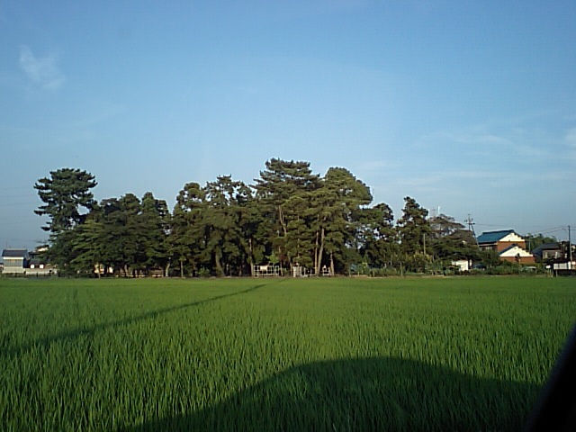 加賀野八幡神社自噴井へのラッキールーラーじゃんさんのレビュー写真