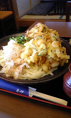 手打ちうどん 恵那のレポート写真1（コロン）