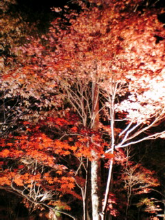 鍋平公園のレポート写真1（りな姫☆）