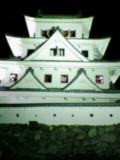 郡上八幡城へのりな姫☆さんのレビュー写真