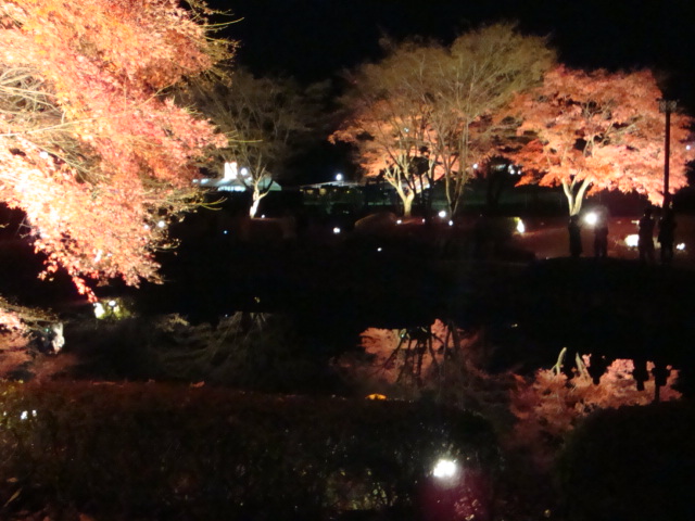 曽木公園のレポート写真1（ゆふ）