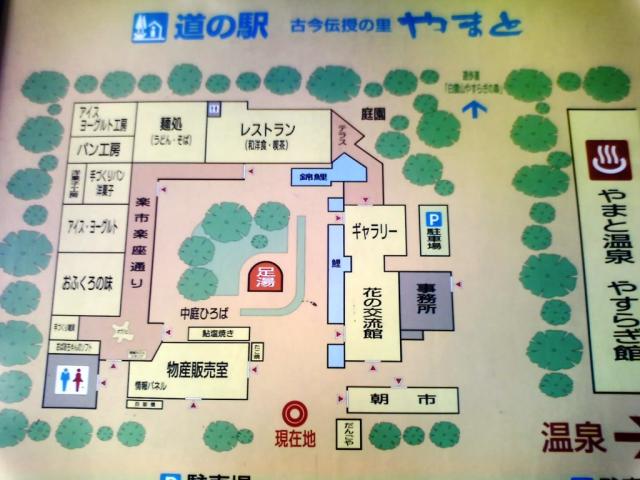 道の駅 古今伝授の里やまとのレポート写真1（愛犬ロッキー）