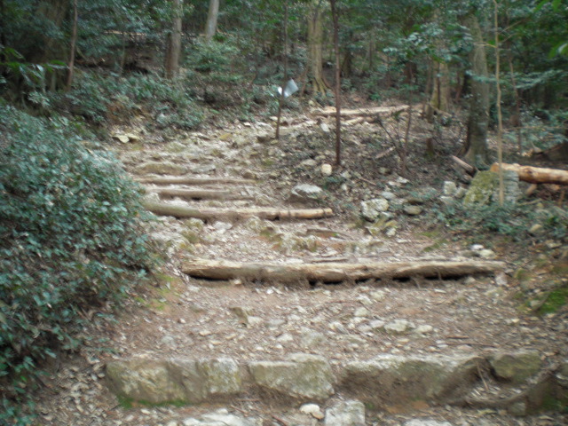 東坂ハイキングコースへのレッツなシニアさんのレビュー写真