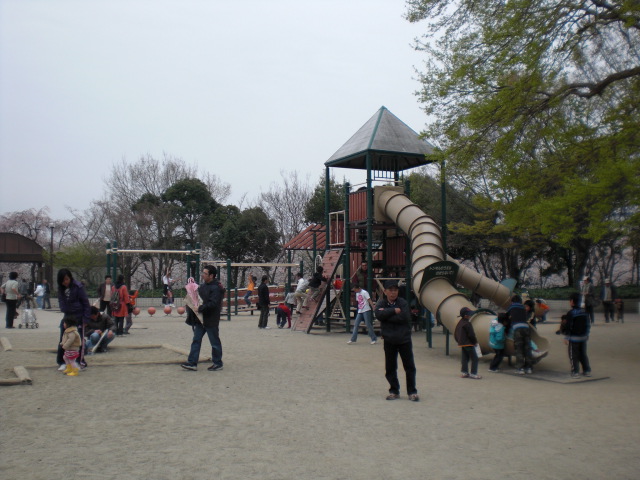 各務原市民公園のレポート写真2（レッツなシニア）