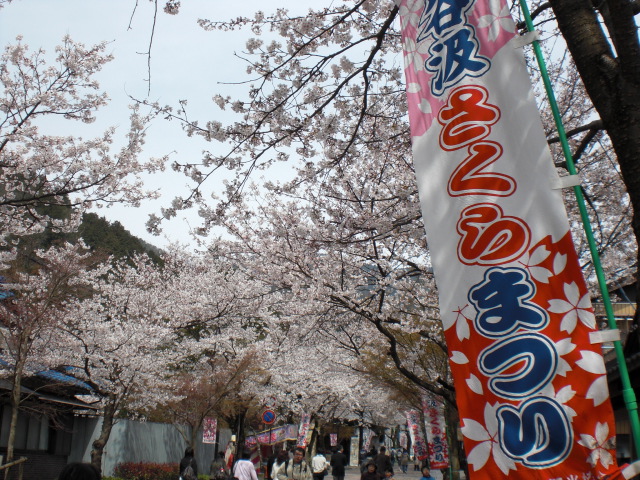 谷汲山 華厳寺のレポート写真2（レッツなシニア）