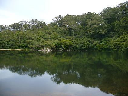 夜叉ヶ池へのゆかそさんのレビュー写真