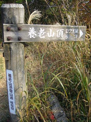 養老山のレポート写真2（ゆかそ）
