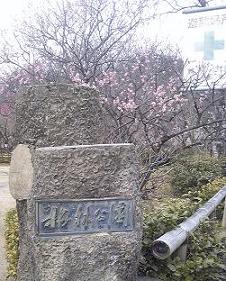 梅林公園へのゆかそさんのレビュー写真