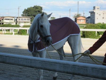岐阜県地方競馬組合への池中玄太84キロさんのレビュー写真