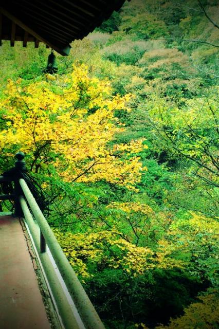 養老の滝へのいくちさんのレビュー写真