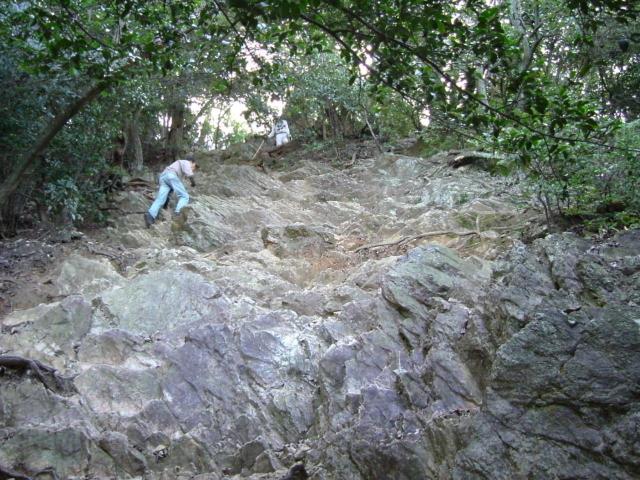 馬の背登山道のレポート写真2（チャラヒ）