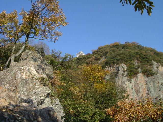 東坂ハイキングコースへのチャラヒさんのレビュー写真