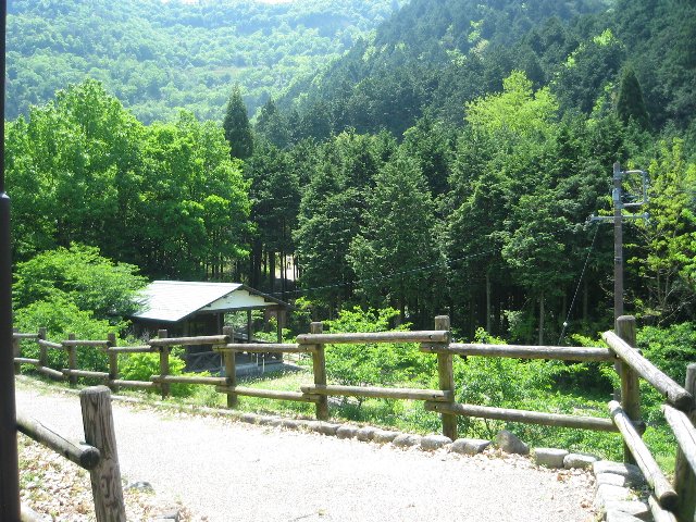 ながら川ふれあいの森へのそーさんのレビュー写真