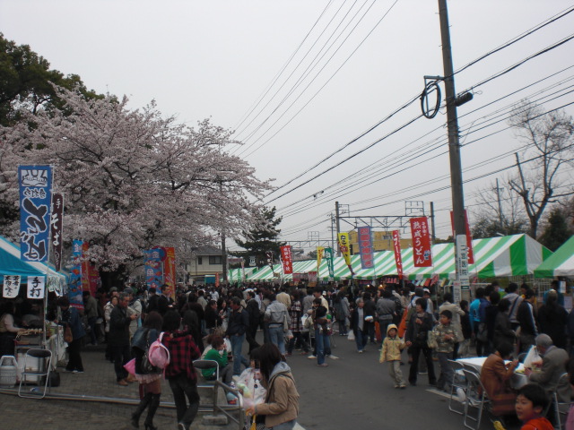 各務原市民公園のレポート写真3（レッツなシニア）