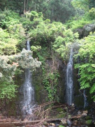 久瀬温泉 白龍の湯のレポート写真3（にしこ）