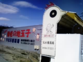 松永養鶏場のレポート写真3（ゆかそ）