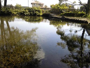 曽根城公園へのゆかそさんのレビュー写真