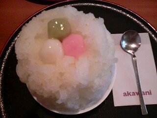 赤鰐のレポート写真3（にしこ）