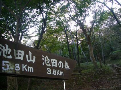 池田山のレポート写真3（ゆかそ）