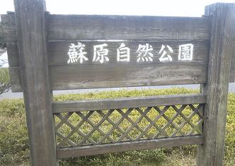 蘇原自然公園のレポート写真3（ゆかそ）