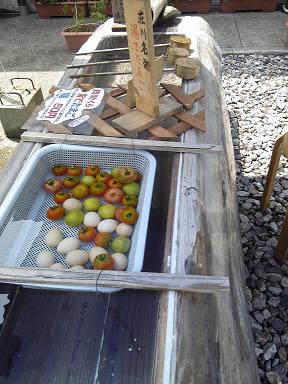 道の駅 桜の郷 荘川へのゆかそさんのレビュー写真