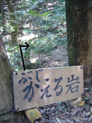 金華山のレポート写真3（ゆかそ）