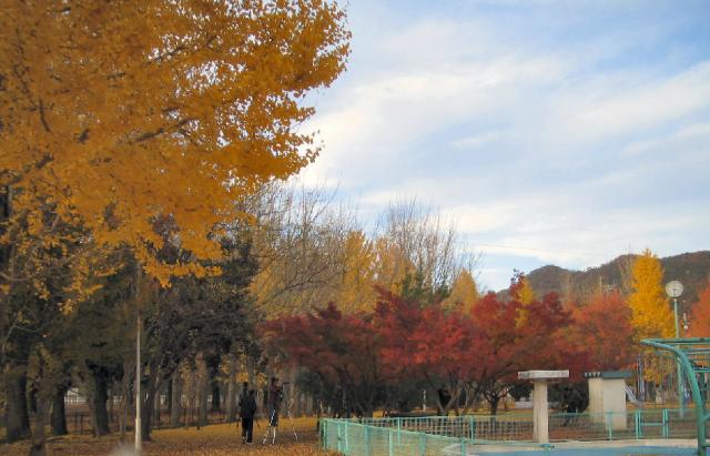 雄日ケ丘公園へのまみぃさんのレビュー写真