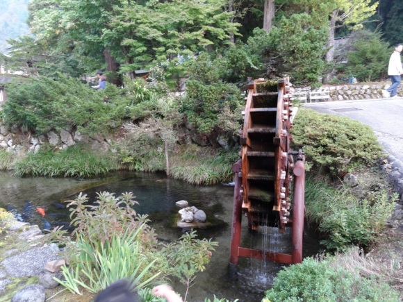 お宿 のだにやへのsayoさんのレビュー写真