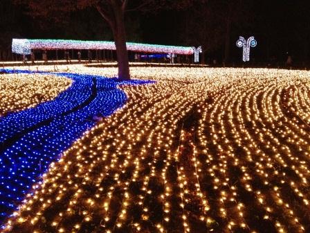 国営木曽三川公園センターのレポート写真3（offshore）