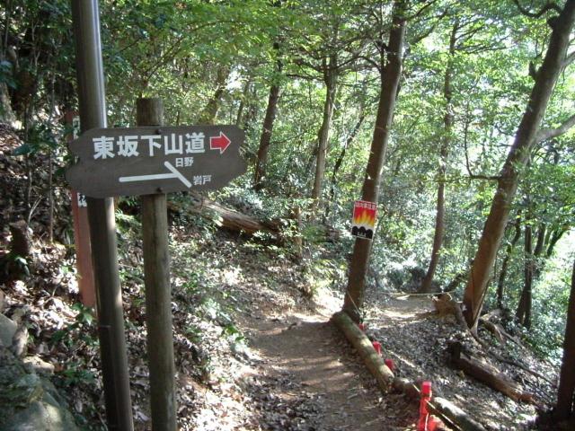 東坂ハイキングコースへのチャラヒさんのレビュー写真