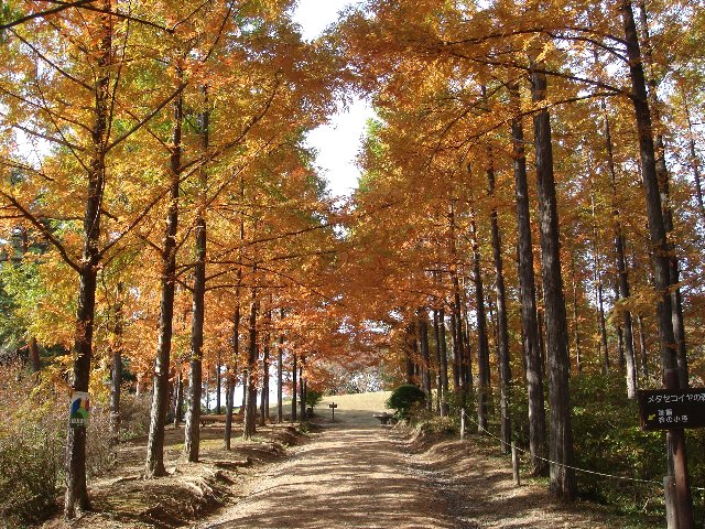 めい想の森のお店からの写真1