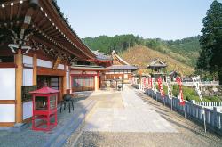 大龍寺のお店からの写真1