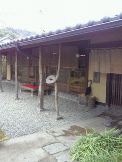 山茶のレポート写真1（えり）