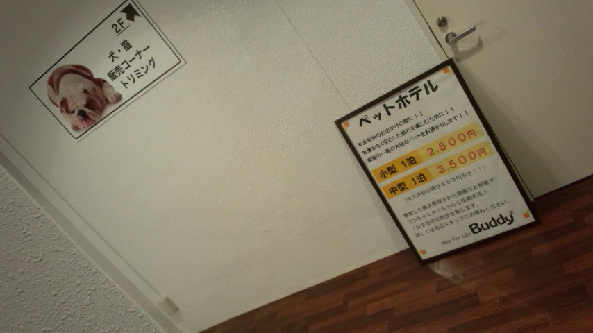 Pet For Life Buddy2のレポート写真2（ぴかんち☆☆）