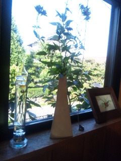 珈琲屋 野那花のレポート写真3（める）