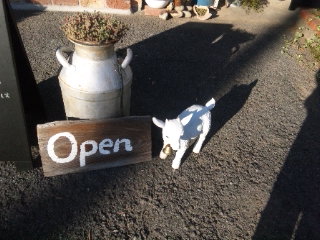 cafe こやぎのおうちのレポート写真5（める）