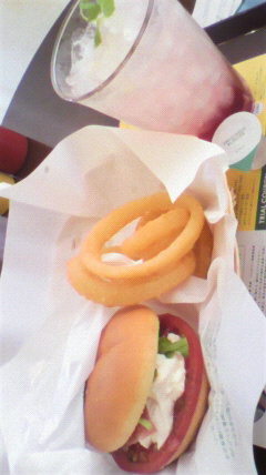 FRESHNESS BURGER モレラ岐阜店のレポート写真1（りょーちん）