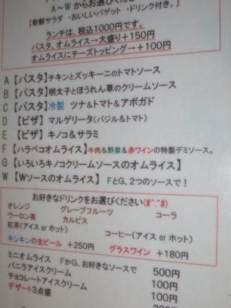 PecoRinoのレポート写真5（ジェミニ）