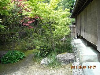 ギャルリ百草のレポート写真3（レッツなシニア）