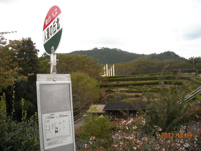 人道の丘公園のレポート写真3（レッツなシニア）