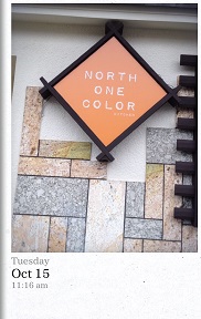 NORTH ONE COLORのレポート写真5（マロン）