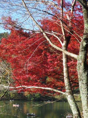 伊自良湖のレポート写真1（ジェミニ）